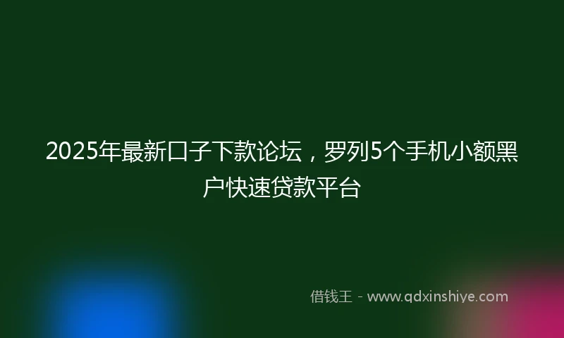 2025年最新口子下款论坛，罗列5个手机小额黑户快速贷款平台