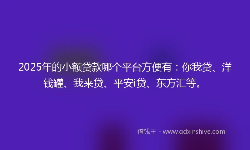 2025年的小额贷款哪个平台方便有：你我贷、洋钱罐、我来贷、平安i贷、东方汇等。