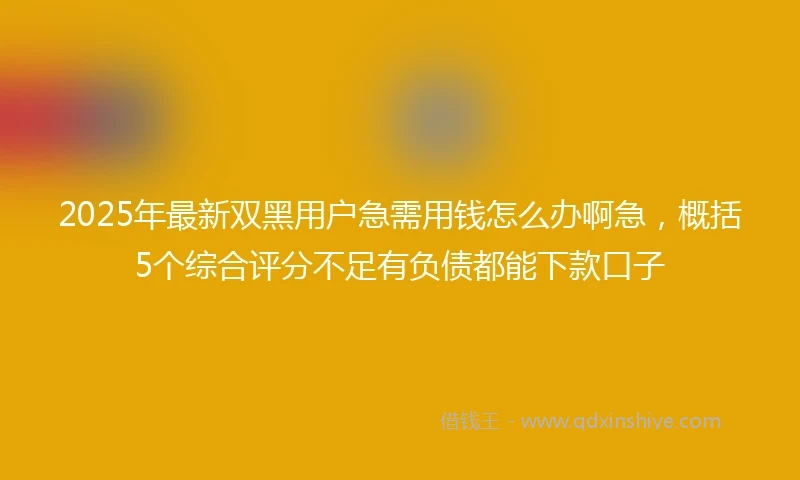 2025年最新双黑用户急需用钱怎么办啊急，概括5个综合评分不足有负债都能下款口子