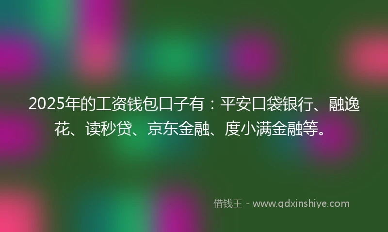 2025年的工资钱包口子有：平安口袋银行、融逸花、读秒贷、京东金融、度小满金融等。