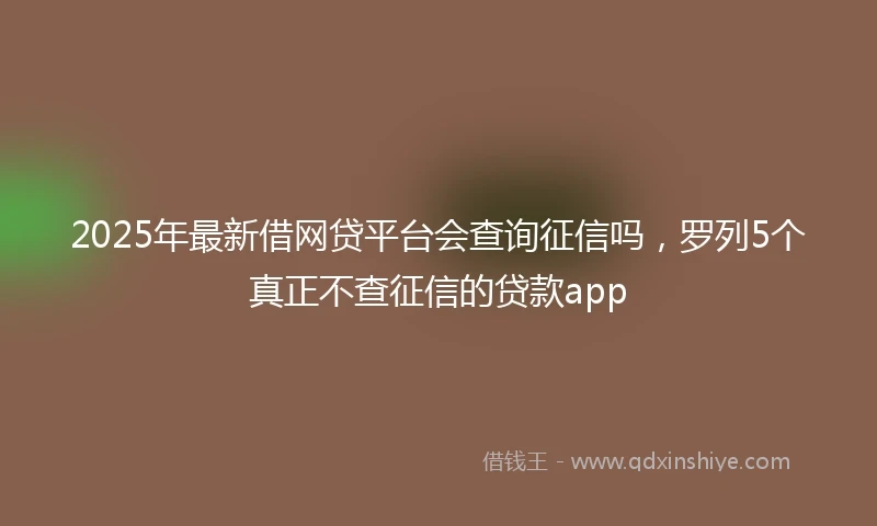 2025年最新借网贷平台会查询征信吗，罗列5个真正不查征信的贷款app