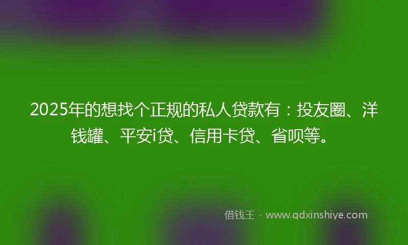 2025年的想找个正规的私人贷款有：投友圈、洋钱罐、平安i贷、信用卡贷、省呗等。