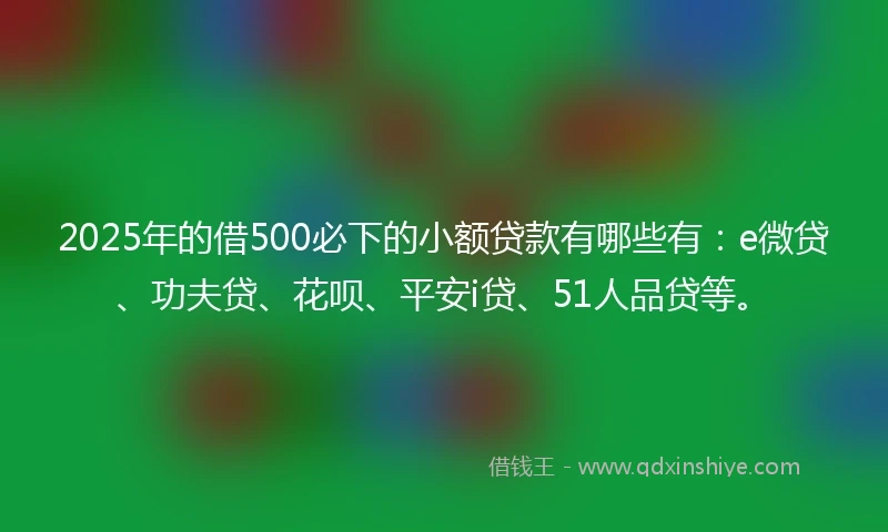 2025年的借500必下的小额贷款有哪些有：e微贷、功夫贷、花呗、平安i贷、51人品贷等。