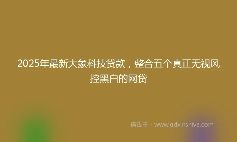 2025年最新大象科技贷款，整合五个真正无视风控黑白的网贷