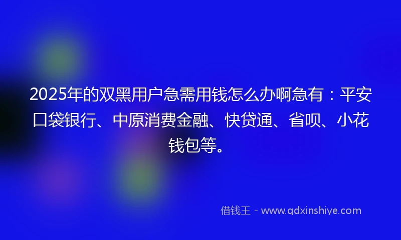 2025年的双黑用户急需用钱怎么办啊急有：平安口袋银行、中原消费金融、快贷通、省呗、小花钱包等。