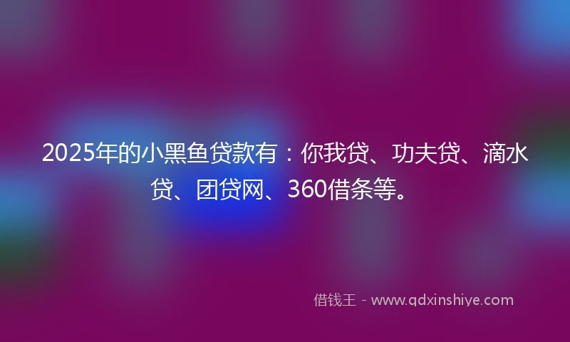2025年的小黑鱼贷款有：你我贷、功夫贷、滴水贷、团贷网、360借条等。