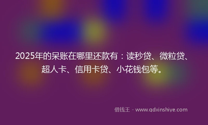 2025年的呆账在哪里还款有：读秒贷、微粒贷、超人卡、信用卡贷、小花钱包等。