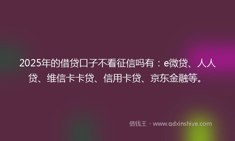2025年的借贷口子不看征信吗有：e微贷、人人贷、维信卡卡贷、信用卡贷、京东金融等。
