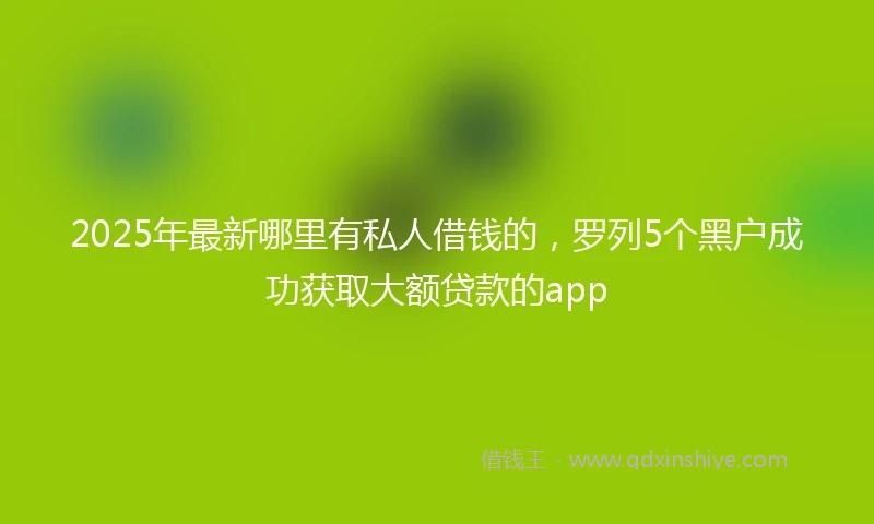 2025年最新哪里有私人借钱的，罗列5个黑户成功获取大额贷款的app