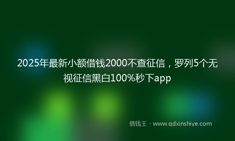 2025年最新小额借钱2000不查征信，罗列5个无视征信黑白100%秒下app