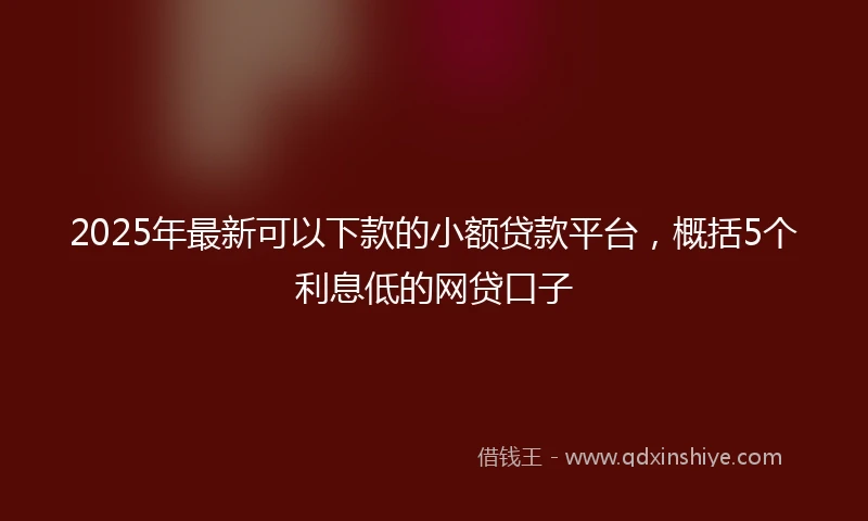2025年最新可以下款的小额贷款平台，概括5个利息低的网贷口子