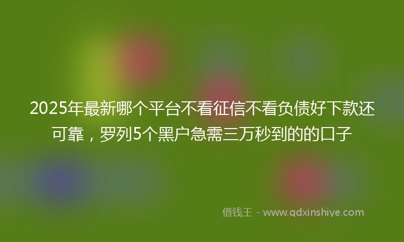 2025年最新哪个平台不看征信不看负债好下款还可靠，罗列5个黑户急需三万秒到的的口子