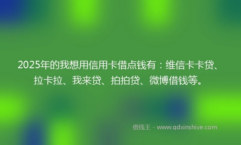 2025年的我想用信用卡借点钱有：维信卡卡贷、拉卡拉、我来贷、拍拍贷、微博借钱等。