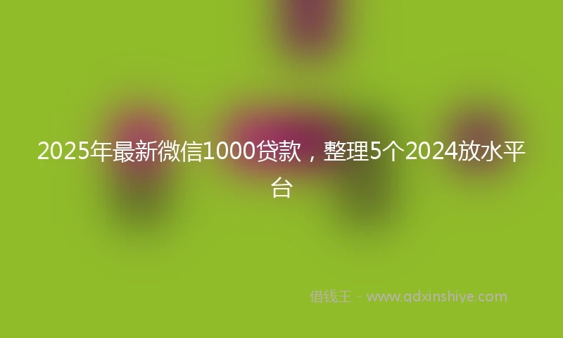 2025年最新微信1000贷款，整理5个2024放水平台