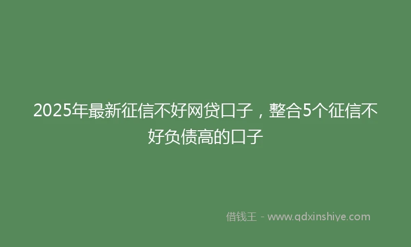 2025年最新征信不好网贷口子，整合5个征信不好负债高的口子