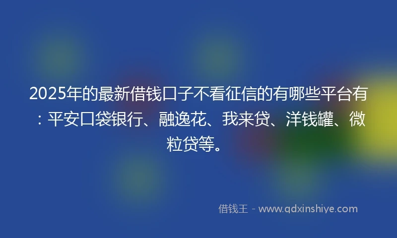 2025年的最新借钱口子不看征信的有哪些平台有：平安口袋银行、融逸花、我来贷、洋钱罐、微粒贷等。