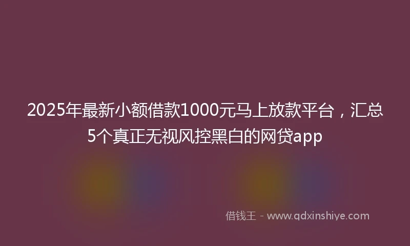 2025年最新小额借款1000元马上放款平台，汇总5个真正无视风控黑白的网贷app