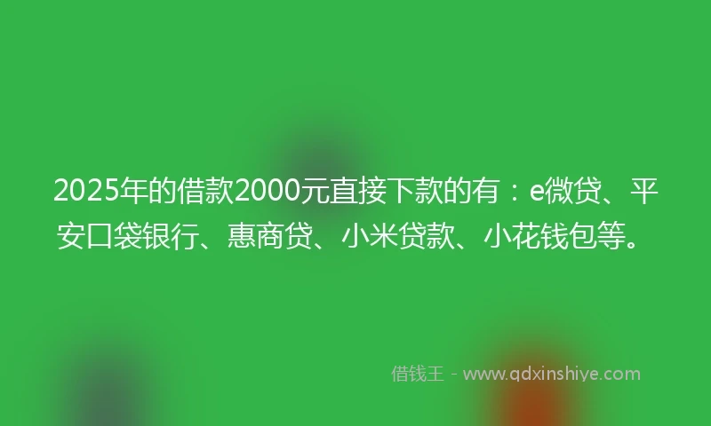 2025年的借款2000元直接下款的有：e微贷、平安口袋银行、惠商贷、小米贷款、小花钱包等。