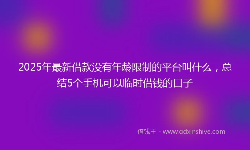 2025年最新借款没有年龄限制的平台叫什么，总结5个手机可以临时借钱的口子