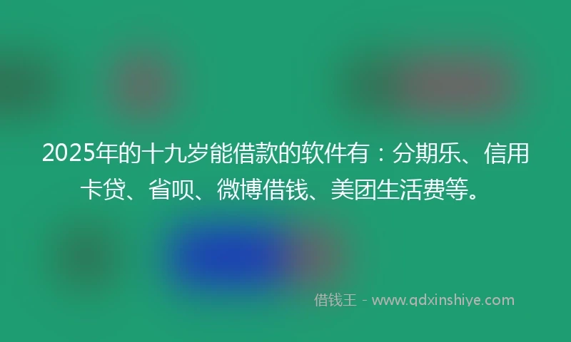 2025年的十九岁能借款的软件有：分期乐、信用卡贷、省呗、微博借钱、美团生活费等。