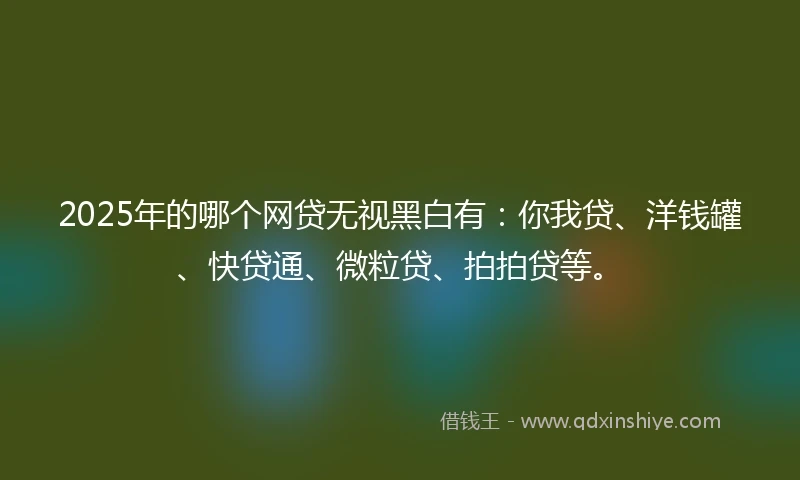 2025年的哪个网贷无视黑白有：你我贷、洋钱罐、快贷通、微粒贷、拍拍贷等。
