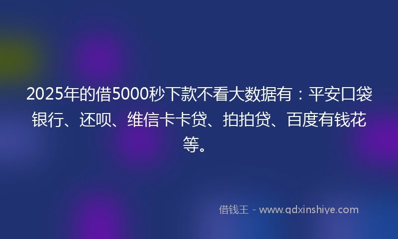 2025年的借5000秒下款不看大数据有：平安口袋银行、还呗、维信卡卡贷、拍拍贷、百度有钱花等。