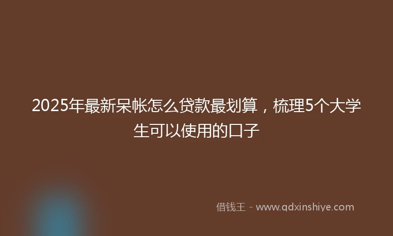 2025年最新呆帐怎么贷款最划算，梳理5个大学生可以使用的口子