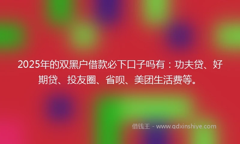 2025年的双黑户借款必下口子吗有：功夫贷、好期贷、投友圈、省呗、美团生活费等。