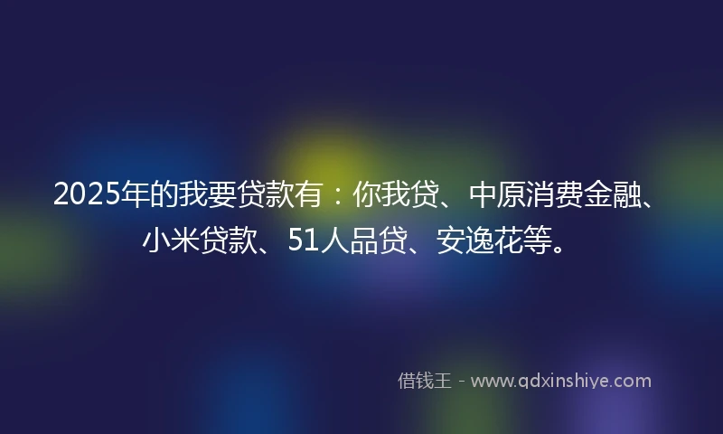 2025年的我要贷款有：你我贷、中原消费金融、小米贷款、51人品贷、安逸花等。