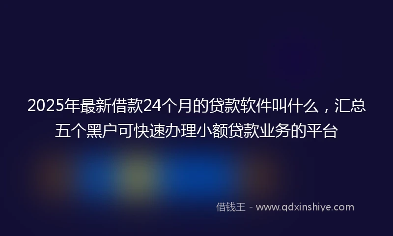 2025年最新借款24个月的贷款软件叫什么，汇总五个黑户可快速办理小额贷款业务的平台