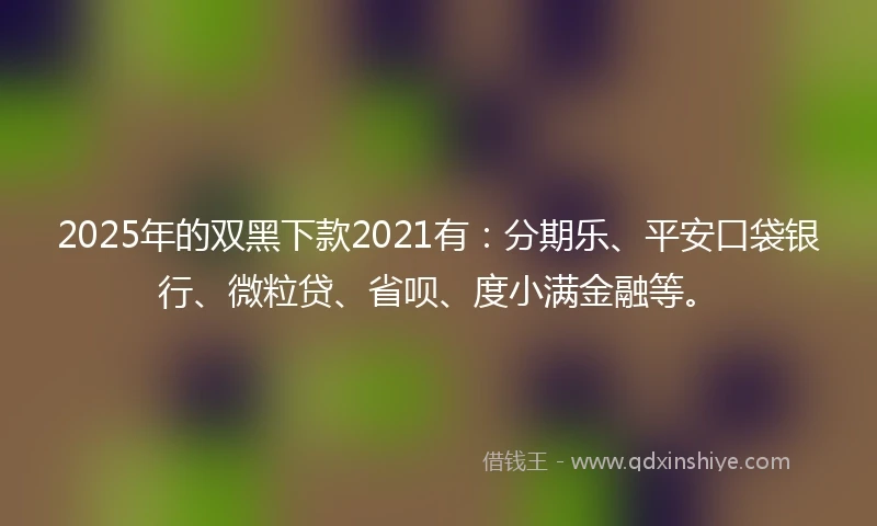 2025年的双黑下款2021有：分期乐、平安口袋银行、微粒贷、省呗、度小满金融等。