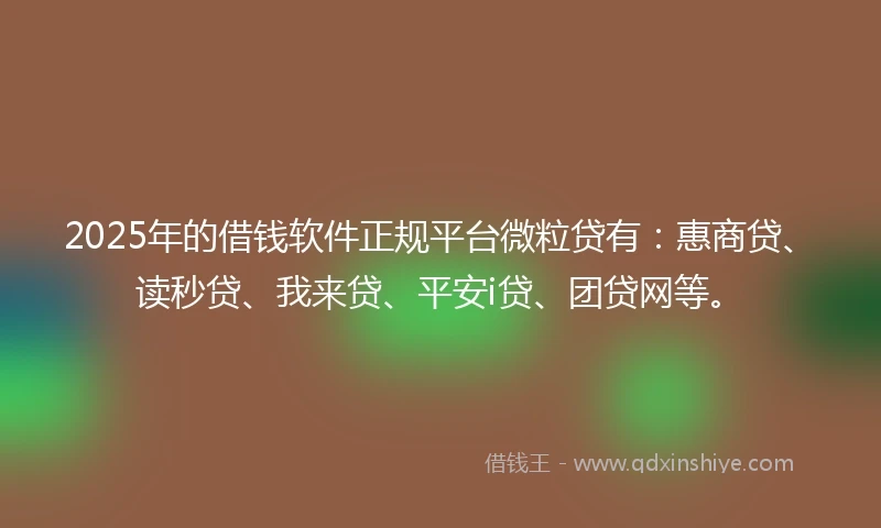 2025年的借钱软件正规平台微粒贷有：惠商贷、读秒贷、我来贷、平安i贷、团贷网等。