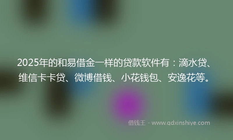 2025年的和易借金一样的贷款软件有：滴水贷、维信卡卡贷、微博借钱、小花钱包、安逸花等。