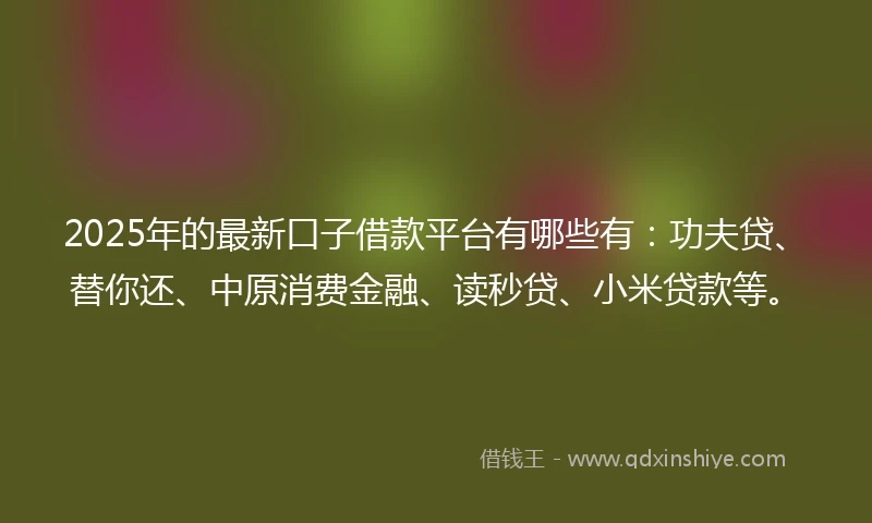 2025年的最新口子借款平台有哪些有：功夫贷、替你还、中原消费金融、读秒贷、小米贷款等。