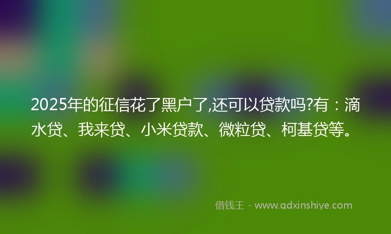 2025年的征信花了黑户了,还可以贷款吗?有：滴水贷、我来贷、小米贷款、微粒贷、柯基贷等。