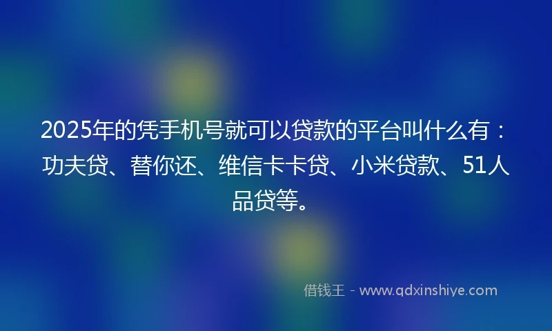 2025年的凭手机号就可以贷款的平台叫什么有：功夫贷、替你还、维信卡卡贷、小米贷款、51人品贷等。