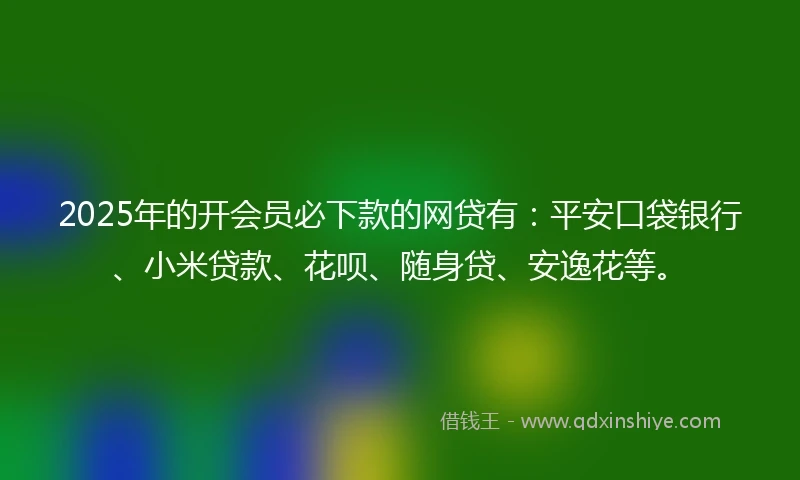 2025年的开会员必下款的网贷有：平安口袋银行、小米贷款、花呗、随身贷、安逸花等。