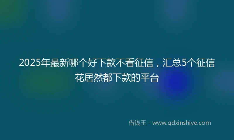 2025年最新哪个好下款不看征信，汇总5个征信花居然都下款的平台