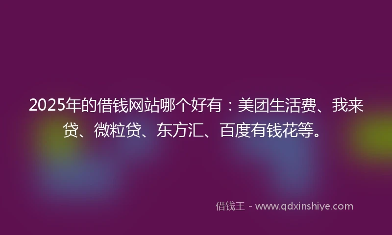 2025年的借钱网站哪个好有：美团生活费、我来贷、微粒贷、东方汇、百度有钱花等。