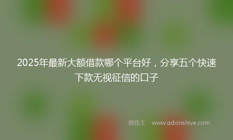 2025年最新大额借款哪个平台好，分享五个快速下款无视征信的口子