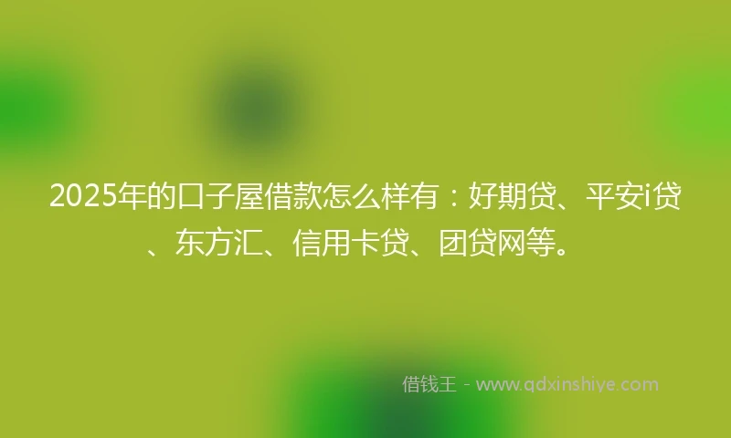 2025年的口子屋借款怎么样有：好期贷、平安i贷、东方汇、信用卡贷、团贷网等。