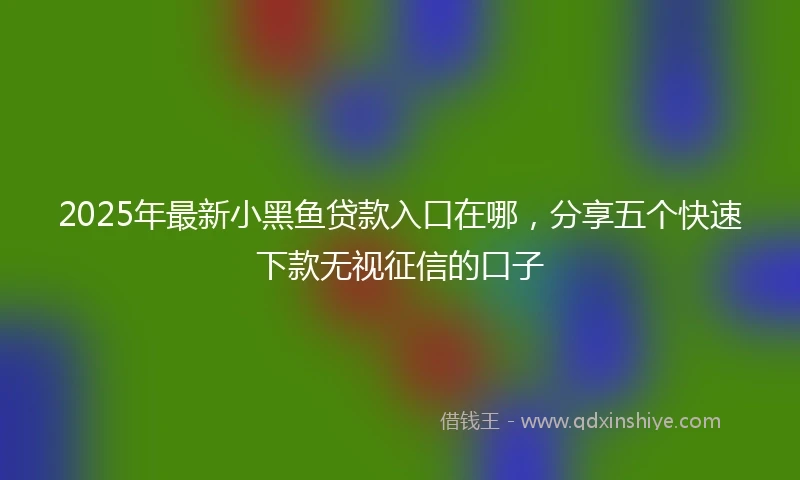 2025年最新小黑鱼贷款入口在哪，分享五个快速下款无视征信的口子