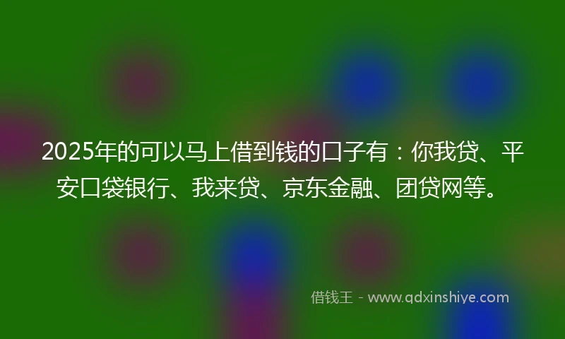 2025年的可以马上借到钱的口子有：你我贷、平安口袋银行、我来贷、京东金融、团贷网等。