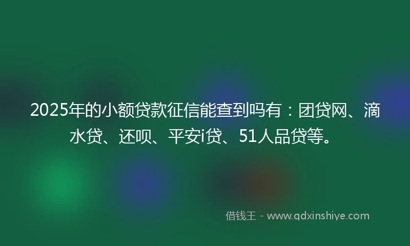 2025年的小额贷款征信能查到吗有：团贷网、滴水贷、还呗、平安i贷、51人品贷等。