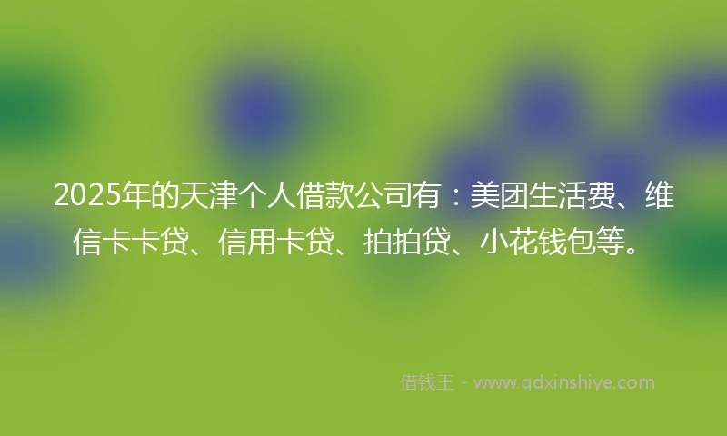 2025年的天津个人借款公司有：美团生活费、维信卡卡贷、信用卡贷、拍拍贷、小花钱包等。
