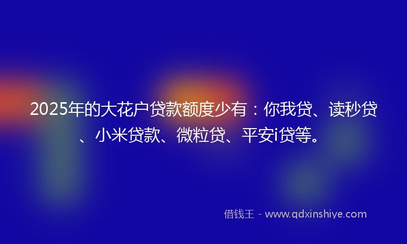 2025年的大花户贷款额度少有：你我贷、读秒贷、小米贷款、微粒贷、平安i贷等。
