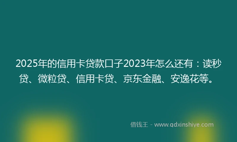 2025年的信用卡贷款口子2023年怎么还有：读秒贷、微粒贷、信用卡贷、京东金融、安逸花等。