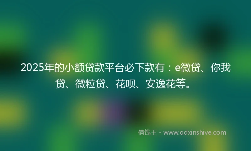 2025年的小额贷款平台必下款有：e微贷、你我贷、微粒贷、花呗、安逸花等。