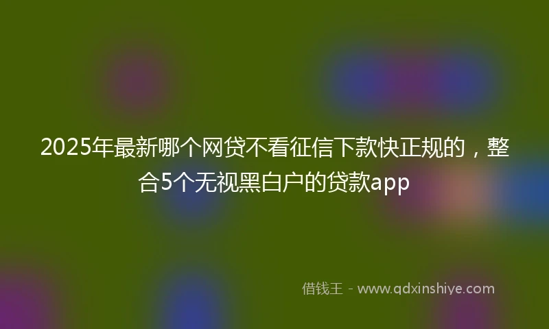 2025年最新哪个网贷不看征信下款快正规的，整合5个无视黑白户的贷款app