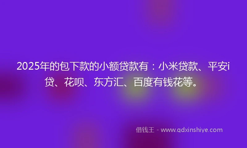 2025年的包下款的小额贷款有：小米贷款、平安i贷、花呗、东方汇、百度有钱花等。